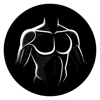 Lifelike Torso